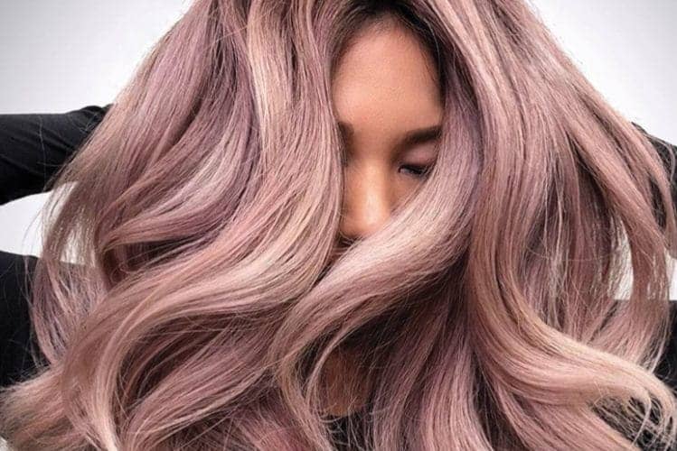 can you dye wet hair