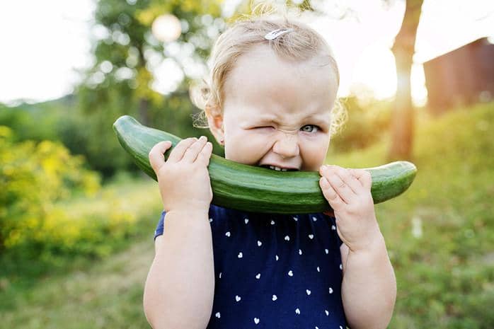 store cucumbers